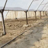 نصاب و جوشکار گلخانه|خدمات پیشه و مهارت|زابل, |دیوار