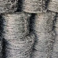 فنس ، سیم خاردار ، مفتول گالوانیزه ، پایه فنس|خدمات باغبانی و درختکاری|ابهر, |دیوار