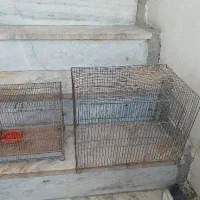دو عدد قفس قناری و سهره