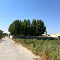 سهیلیه خیابان ساحل زمین ۳۲۰ متر شهرکی زیر قیمت|فروش زمین و ملک کلنگی|کرج, گوهردشت|دیوار