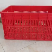 نیازمند کارگر ساده (اپراتور دستگاه)