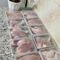 ظرف فریزری ظرف دربدار ظروف فریزری|ظروف نگهدارنده، پلاستیکی، یک‌بارمصرف|قم, میرزائیه|دیوار
