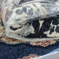روتختی و پتو وقالیچه قیمت خوب|سرویس روتختی|کرج, کیانمهر|دیوار