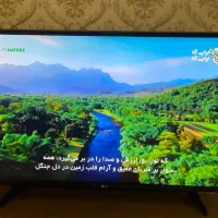 تلویزیون 43 ال جی