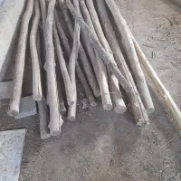 چوب صنوبر|مصالح و تجهیزات ساختمان|رشت, سیا اسطلخ|دیوار