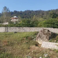 بام پیرهرات سندتک برگ با پروانه عروسک|فروش زمین و ملک کلنگی|اسالم, |دیوار