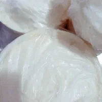کره محلی گاو