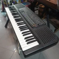 ارگ کاسیو