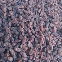 مویز فخری سوپر|خوردنی و آشامیدنی|شیراز, شهرک گلستان|دیوار