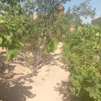 منزل-مسکونی