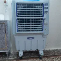 کولر سولولزی