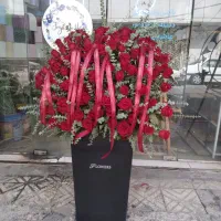 مرکز پخش رز هلندی فقط ۳۵تومان