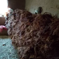 فروش جارو|لوازم نظافت|چاپشلو, |دیوار