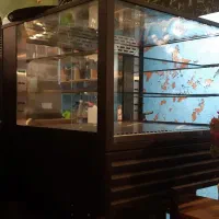 یخچال شو کیک رومیزی|کافیشاپ و رستوران|رشت, دیلمان|دیوار