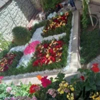 خدمات باغبانی تعویض خاک گلدان در منزل و غیره