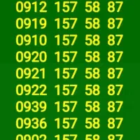 فروش سیم کارتهای همزاد ده تا خط کد یک|حراج|تهران, سبلان (لشگر)|دیوار