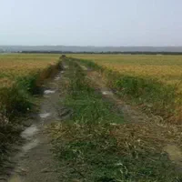 اجاره ۵۰ هکتار زمین کشاورزی در بلوک جیرفت|اجارهٔ دفتر صنعتی، کشاورزی، تجاری|اصفهان, آبشار|دیوار
