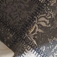 گلیم فرش یک ونیم در ۴ متر|گلیم، جاجیم، گبه|ورامین, ورامین|دیوار