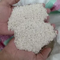 برنج دانه بلند هاشمی اصل شمال