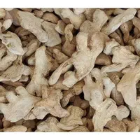 فروش عمده زنجبیل قلم، پودر و روغن زنجبیل درجه یک|عمده‌فروشی|ری, منصوریه منگل|دیوار