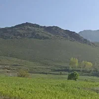 اجاره-زمین-کشاورزی-زمین-خود-را-معرفی-کنید