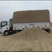 کاه گندم ، کاه نیشکر مخصوص دام سبک و سنگین