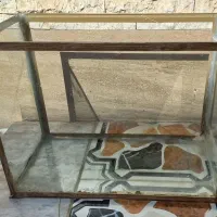 آکواریوم تمیز|ماهی|شهرضا, |دیوار