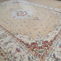 فرش ۱۲ متری در حد نو|فرش|مشهد, هفت تیر (نه دره)|دیوار