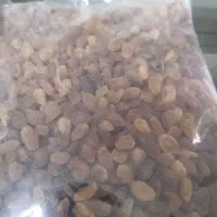 محصولات ارگانیک..|خوردنی و آشامیدنی|نیشابور, میدان حافظ|دیوار