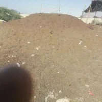 کودحیوانی|خدمات باغبانی و درختکاری|بندر کنگان, |دیوار