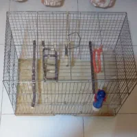 قفس پرنده|لوازم جانبی حیوانات|تهران, منیریه|دیوار