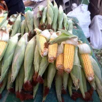 بلال مکزیکی