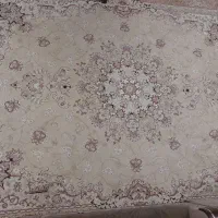 فرش ۱۲ متری|فرش|رشت, دروازه لاکان|دیوار