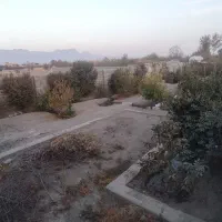 باغ محدوده پیربکران|فروش خانه و ویلا|پیر بکران, |دیوار