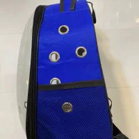 لوازم گربه