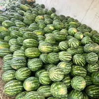 هندوانه شیرازی درجه یک|خوردنی و آشامیدنی|مشهد, شهرک صنعتی توس|دیوار