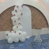 دیجی رویا