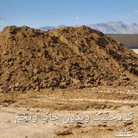کود دامی