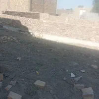 سلام ۲قواره زمین به فروش میرست|فروش زمین و ملک کلنگی|هامون, |دیوار