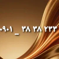 ۲۳۳ ۳۸ ۳۸ ۰۹۰۱