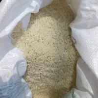 برنج دمسیاه