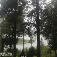 نوفل78متر طبقه4با اسانسور