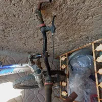 دوچرخه ۲۴|دوچرخه، اسکیت، اسکوتر|جهرم, |دیوار