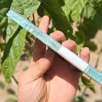 پول نو|کلکسیون سکه، تمبر، اسکناس|تهران, جمالزاده|دیوار