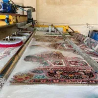 قالیشویی  تک شور مروارید