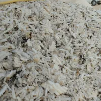 تفاله فله ای آبکی 1500تن فروشی