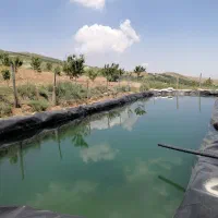 فروش باغ گیلاس و آلبالو|فروش خانه و ویلا|تهران, آذربایجان|دیوار