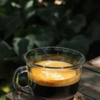 اسپرسو ساز اهرمی|سماور، چای‌ساز، قهوه‌ساز|قوچان, |دیوار