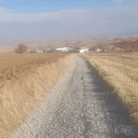 باغ بادام چهار ساله