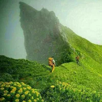 شهرکردگردی